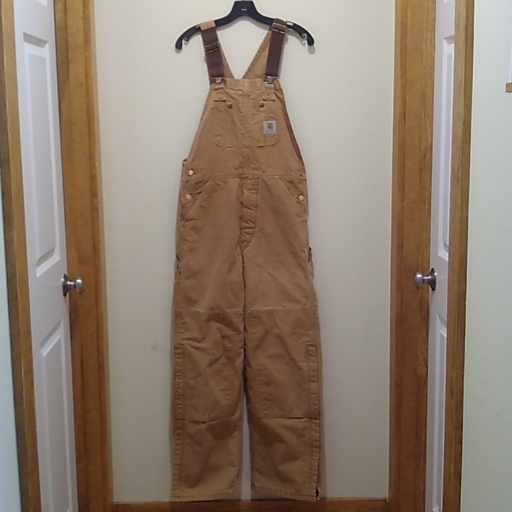Carhartt Insulated Bibs